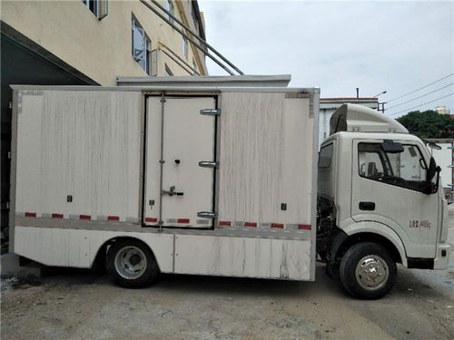 神陽(yáng)新能源 增城智造，以安全可靠定義小型物流車(chē)新標(biāo)桿