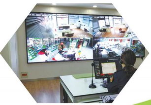 打造食品安全城市典范 東臺市政府門戶網(wǎng)站專題建設(shè)方案