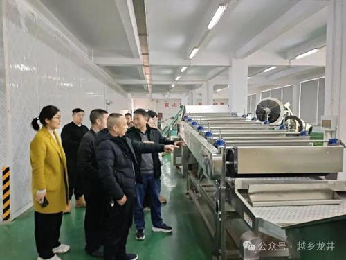 俞燎遠研究員深入嵊州調(diào)研，為茶產(chǎn)業(yè)技術推廣與升級把脈開方